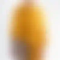 Étole Précieuse des Andes