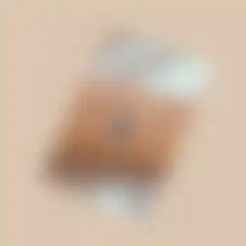 Bracelet avec pierre d'Onyx (Papillon)