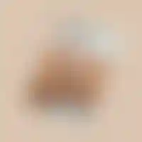 Bracelet avec pierre d'Onyx (Papillon)